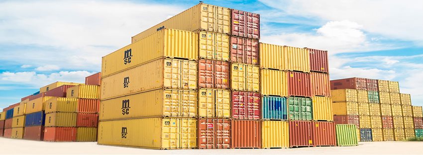 Asignación Inicial OMC 2021-2022