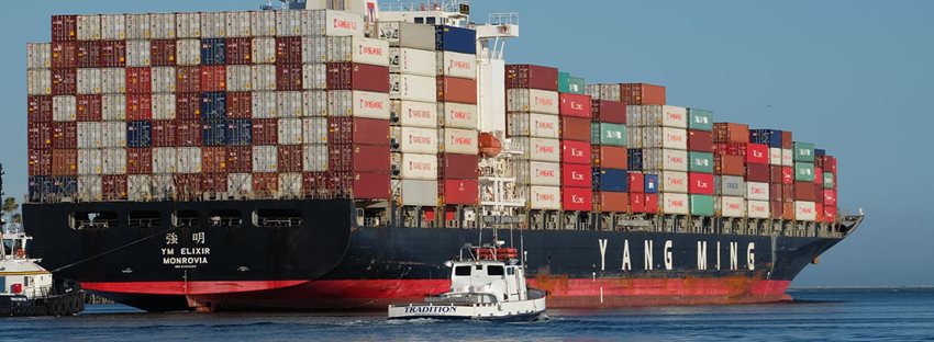 Utilización del nuevo módulo de exportaciones 2.0