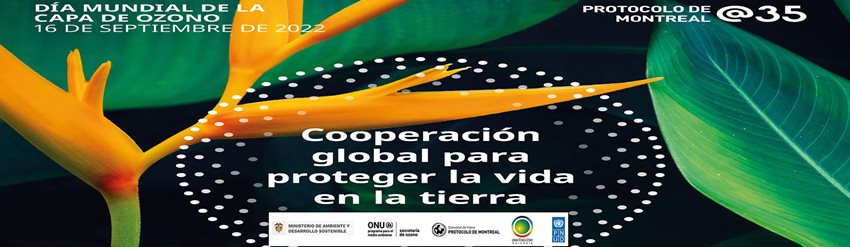 Imagen de información