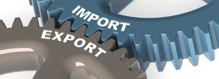 Imagen con 2 piñones